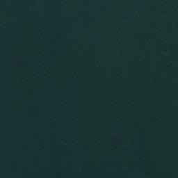 Satellite imagery of Punta San Carlos, CL