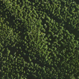 Satellite imagery of Dirty Spur, NZ