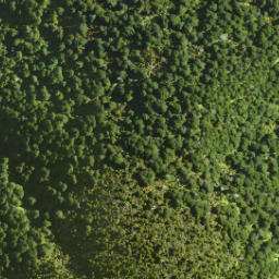 Satellite imagery of Dirty Spur, NZ
