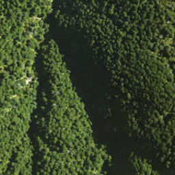 Satellite imagery of Dirty Spur, NZ