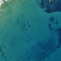 Satellite imagery of Te Rahui, NZ