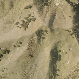 Satellite imagery of WAIPAKURA, NZ