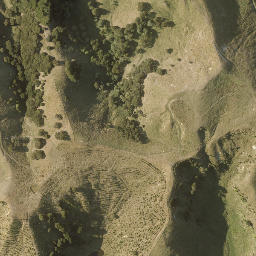 Satellite imagery of WAIPAKURA, NZ