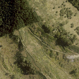 Satellite imagery of MT MITCHELL, NZ