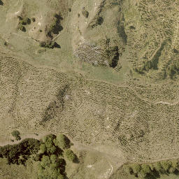 Satellite imagery of WAIPAKURA, NZ
