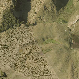 Satellite imagery of WAIPAKURA, NZ