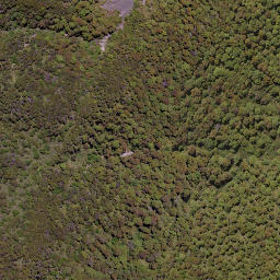 Satellite imagery of Government Spur, NZ