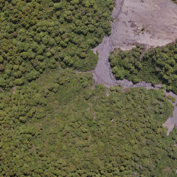 Satellite imagery of Government Spur, NZ