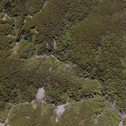Satellite imagery of Government Spur, NZ