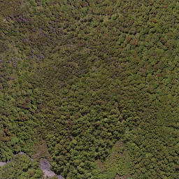 Satellite imagery of Government Spur, NZ