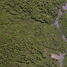 Satellite imagery of Government Spur, NZ