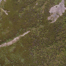 Satellite imagery of Government Spur, NZ