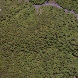 Satellite imagery of Government Spur, NZ