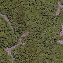 Satellite imagery of Government Spur, NZ