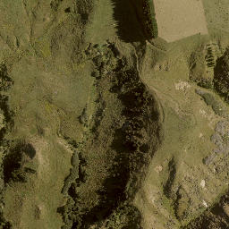 Satellite imagery of 13851, NZ