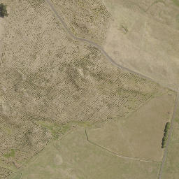 Satellite imagery of IMLAY, NZ