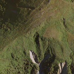 Satellite imagery of Daphne Spur, NZ