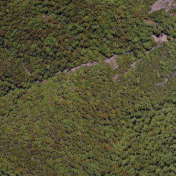Satellite imagery of Daphne Spur, NZ