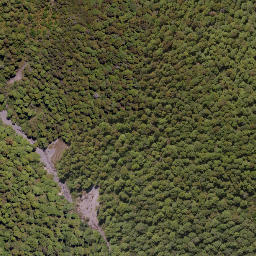 Satellite imagery of Daphne Spur, NZ