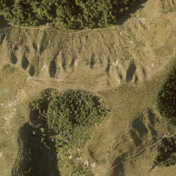 Satellite imagery of 13881, NZ