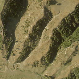 Satellite imagery of 13881, NZ