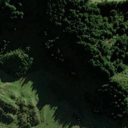 Satellite imagery of Z CONSPICUOUS, NZ