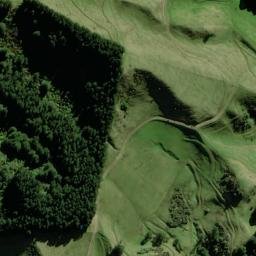 Satellite imagery of Z CONSPICUOUS, NZ