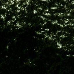 Satellite imagery of Paso Pirehueico, AR