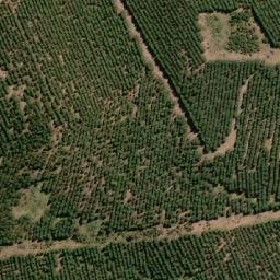 Satellite imagery of Cerro Puntudo, AR