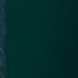 Satellite imagery of Paoanui Point, NZ