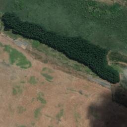 Satellite imagery of MIRA, NZ