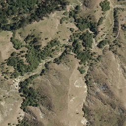 Satellite imagery of Pohatupapa Point, NZ