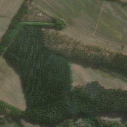 Satellite imagery of RANGITOTO, NZ