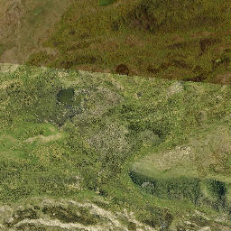 Satellite imagery of Black Head, NZ