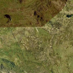 Satellite imagery of Black Head, NZ