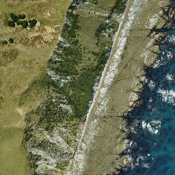 Satellite imagery of Black Head, NZ