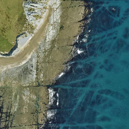 Satellite imagery of Black Head, NZ