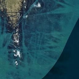 Satellite imagery of Black Head, NZ