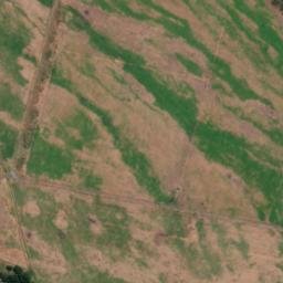 Satellite imagery of WHALE, NZ