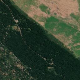 Satellite imagery of WHALE, NZ