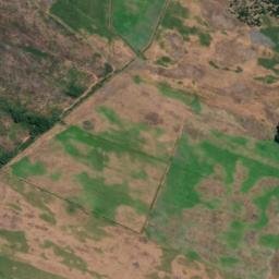 Satellite imagery of A (Te Kawau SD), NZ