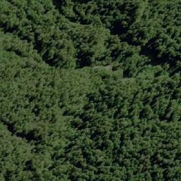 Satellite imagery of Cerro Orientado, CL