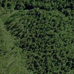 Satellite imagery of Cerro Orientado, CL