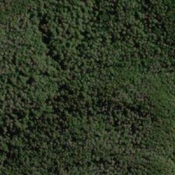 Satellite imagery of Cerro Panguinal, AR