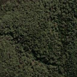 Satellite imagery of Bluff Point, AU