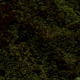 Satellite imagery of Skinner Point, NZ