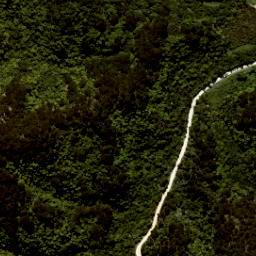 Satellite imagery of Skinner Point, NZ