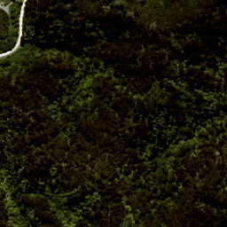 Satellite imagery of Skinner Point, NZ