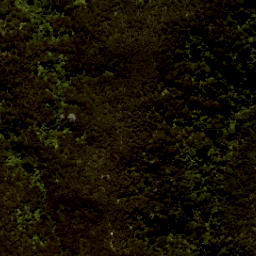 Satellite imagery of Skinner Point, NZ