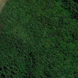 Satellite imagery of Wiffen Point, NZ
